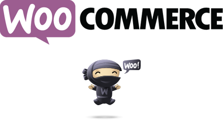 WooCommerce: A Free e-Commerce Plugin for WordPress