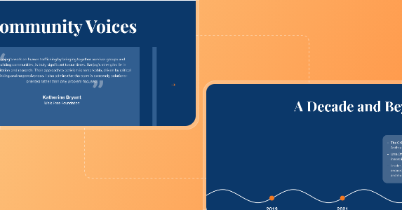 Why a Website is Crucial for NGOs and