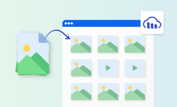 How to Integrate Digital Asset Management (DAM) in WordPress Using Cloudinary Plugin