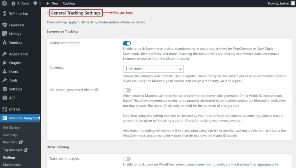 How to Set Up Matomo in WordPress for Complete Website Tracking (Part 2 ...